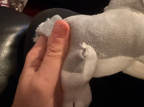 Santa's Winter Village-Pajala必去景点