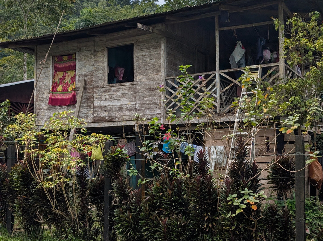 World Evasion-圣何塞必去景点