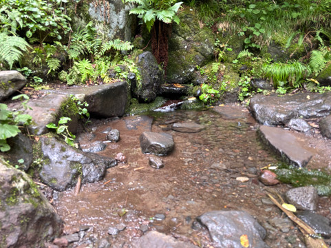 Rishirito Natural Recreation Forest Hokuroku Camp Site-利尻富士町必去景点