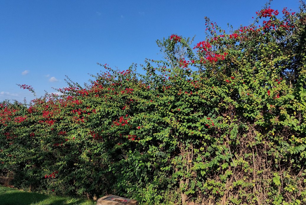 尼亚提山别墅-官方