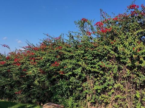 尼亚提山别墅主图