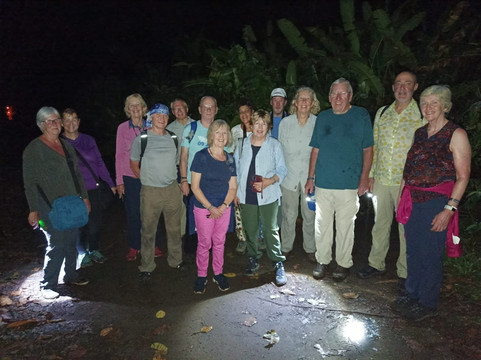 Harpy Eagle Tortuguero