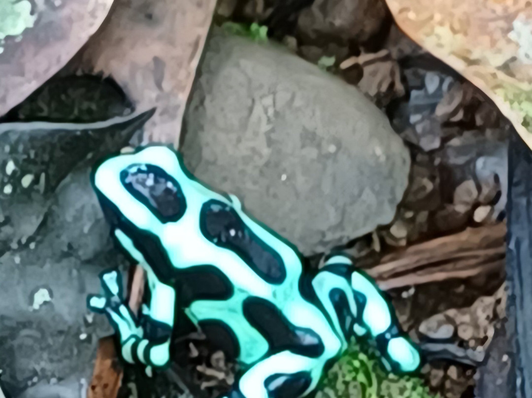 World Evasion-圣何塞必去景点