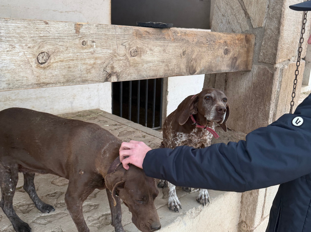 Cabalgando En Tequis-Tequisquiapan必去景点