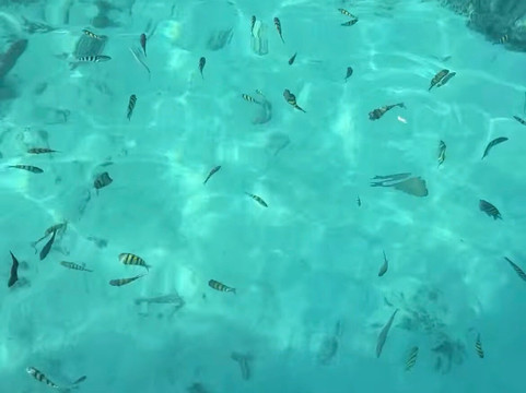 Lakshadweep Holidayz-Kavaratti Island必去景点