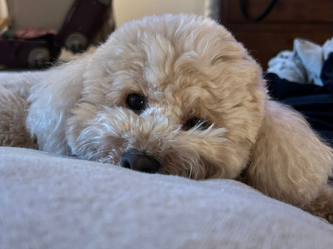 Relais Convento Santa Croce主图