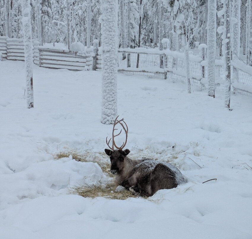 Kotatieva Winter Leisure Park-罗瓦涅米必去景点