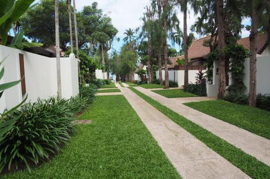 苏梅曾蒙海滩萨拉度假村主图