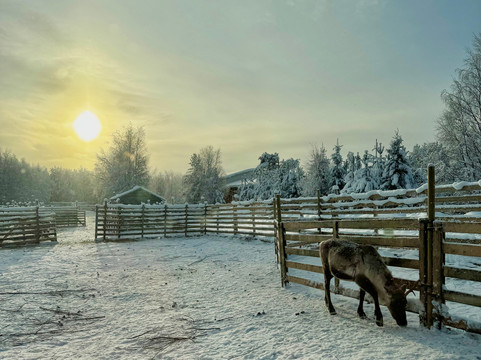Local Lifestyle Rovaniemi-罗瓦涅米必去景点