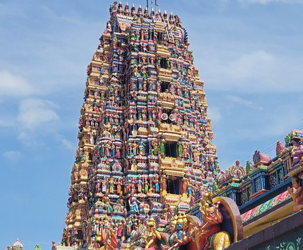 Lanka Tour Driver-Hingurakgoda必去景点