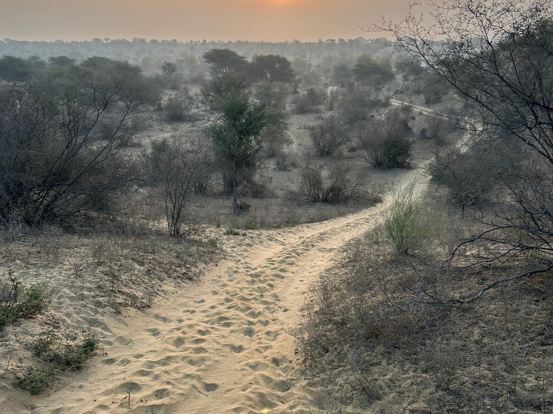 Osian Desert Safari & Overnight Camping-Osian必去景点