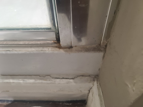 剑桥郡圣艾芙金狮酒店主图