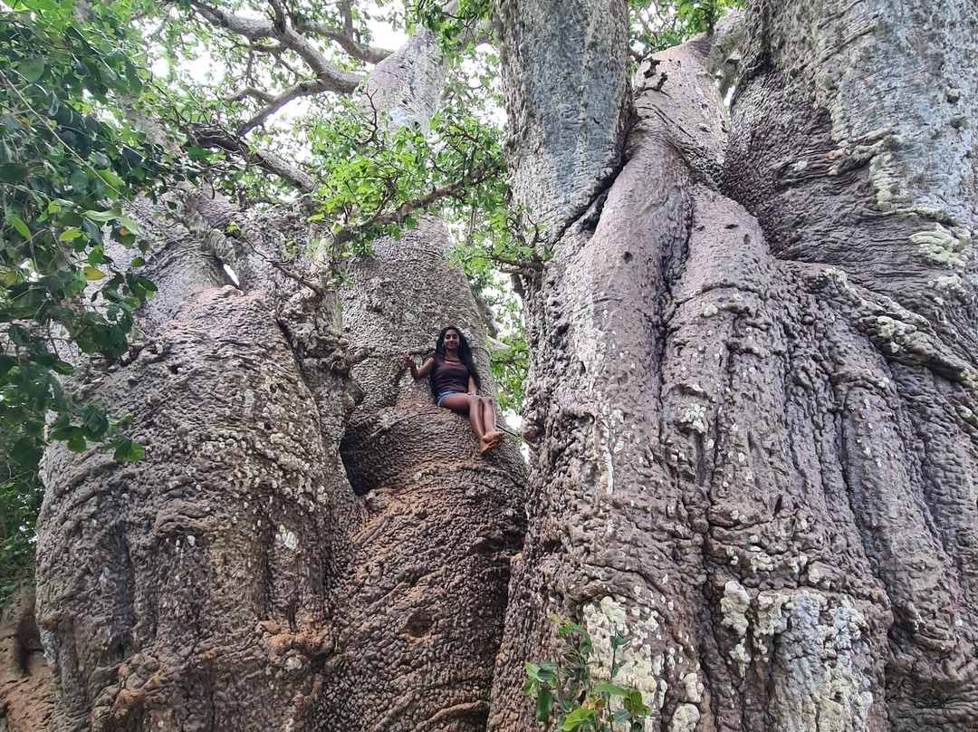 OYO255阿塔拉泻湖酒店主图
