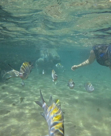 Mergulho Consciente-Taipus de Fora必去景点