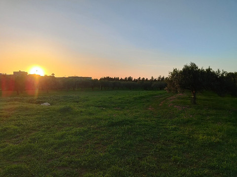 巴格利奥库斯特拉酒店及餐厅主图