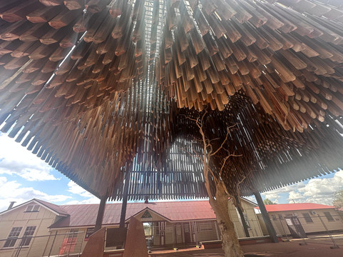 Tree Of Knowledge-Barcaldine必去景点