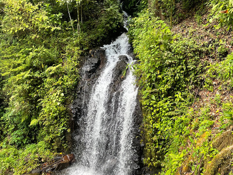 Mount Totumas Cloud Forest主图