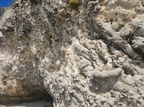 Washington-Slagbaai National Park Visitor Center Museum-Washington-Slagbaai National Park必去景点