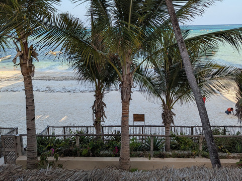 赫卡亚桑给巴尔主图