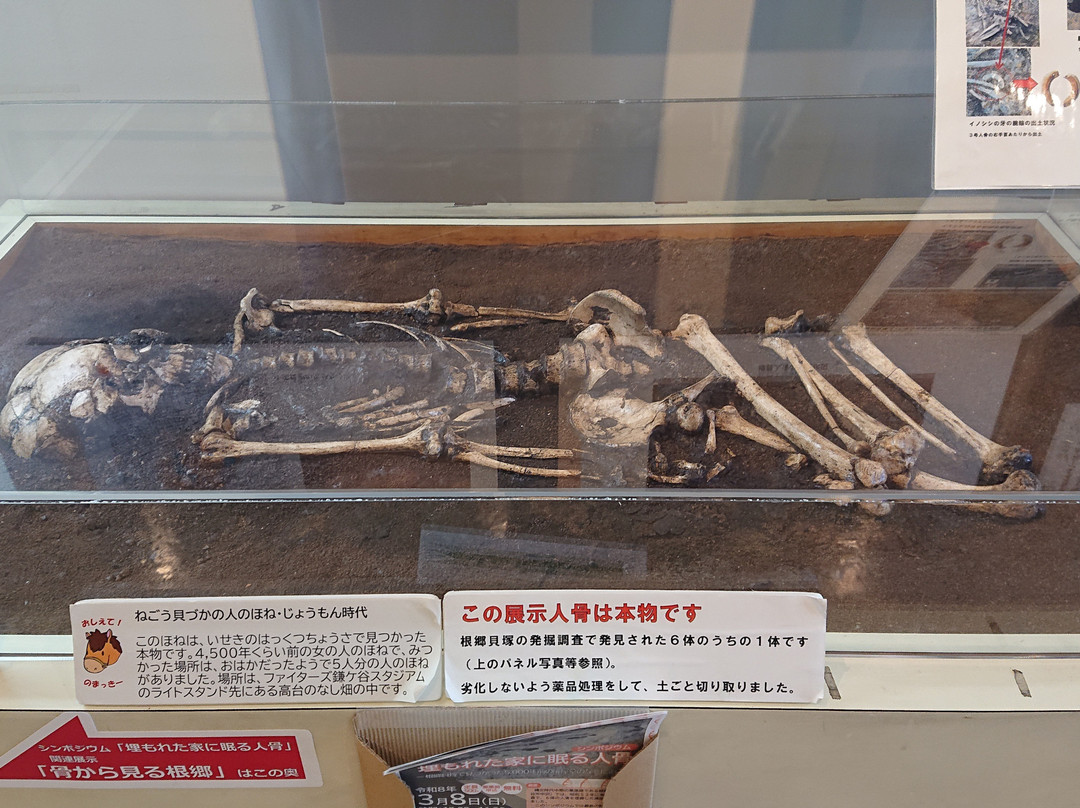 Kamagaya History Museum-鎌仓市必去景点