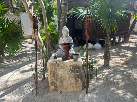 Spa Orquidea-Holbox必去景点