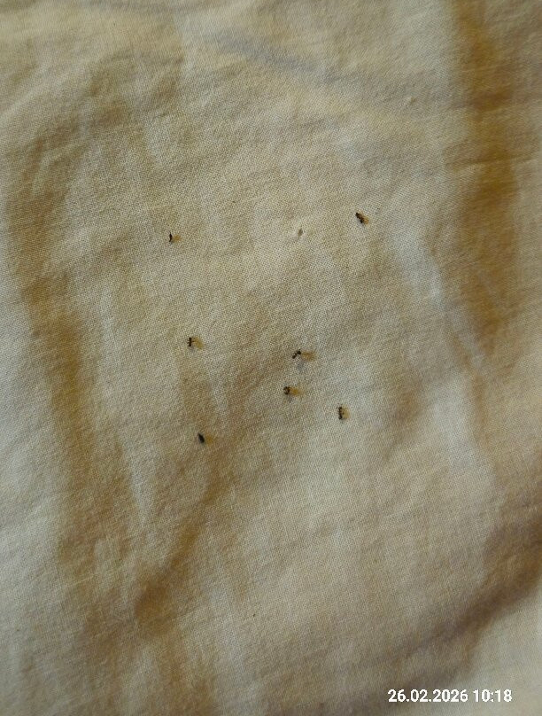 Hotel Rural San Miguel - Only Adults主图