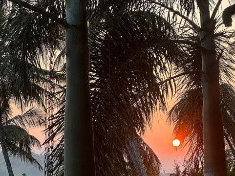 信天翁酒店，康提主图