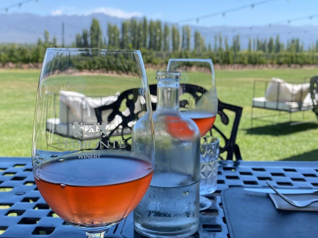 SAK Wine & Travel-门多萨必去景点