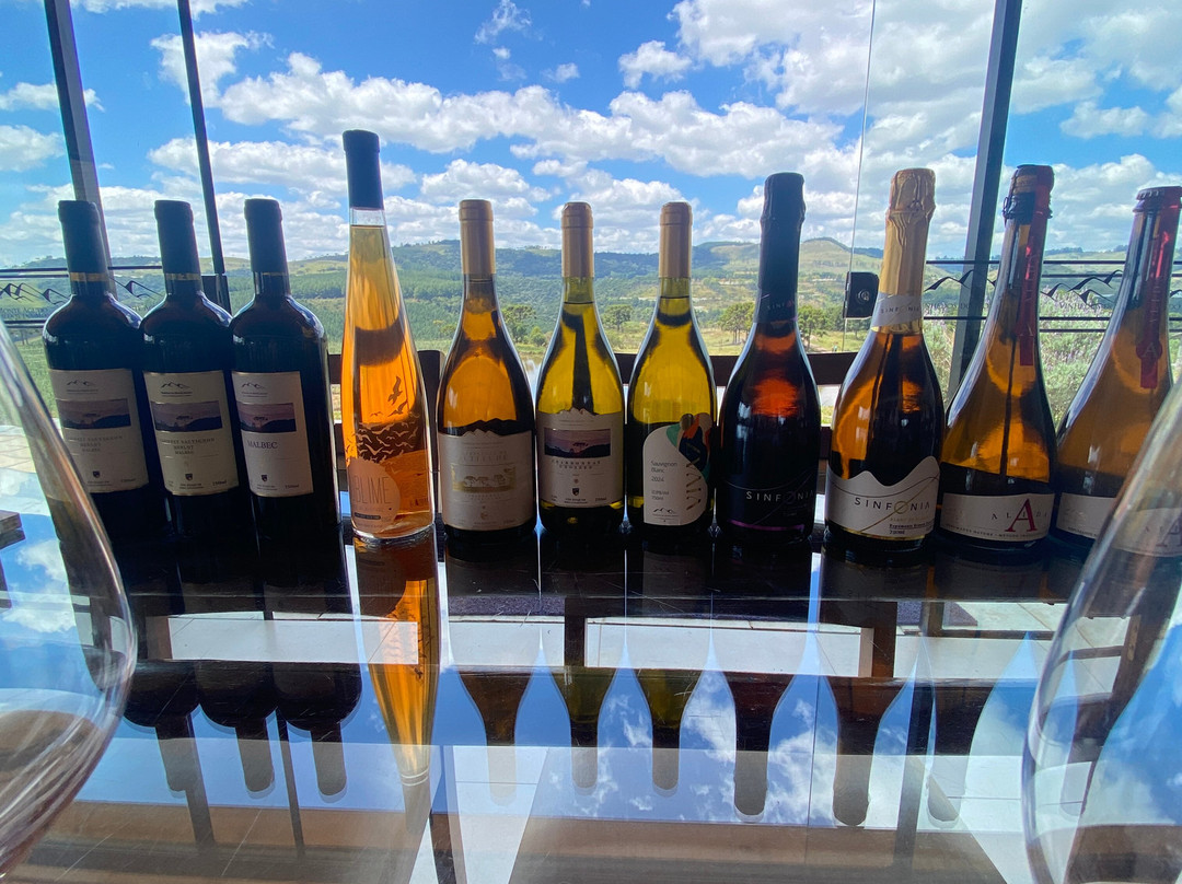 Vinhedos do Monte Agudo-Sao Joaquim必去景点