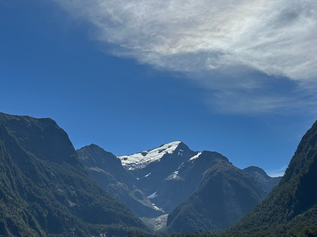 Wild Kiwi Tours-奥克兰中心地区必去景点