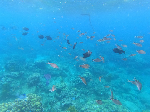 Caraibe Kayak-Bouillante必去景点