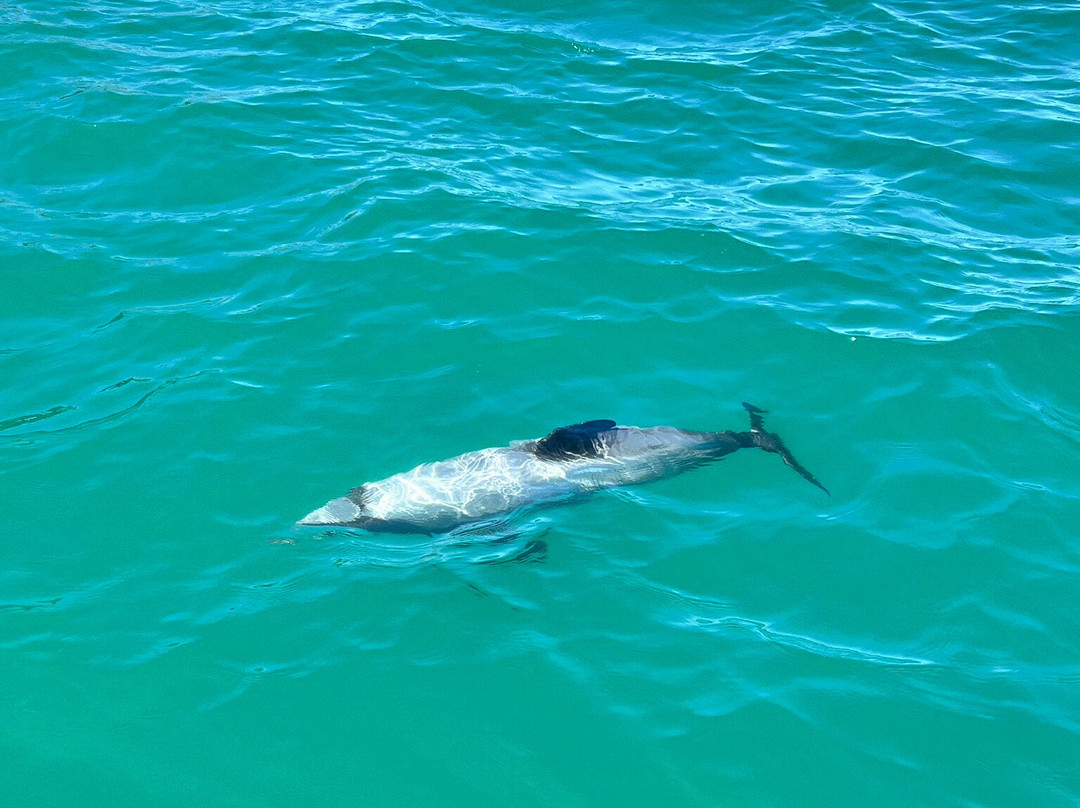 生态海洋水上行-阿卡罗阿必去景点