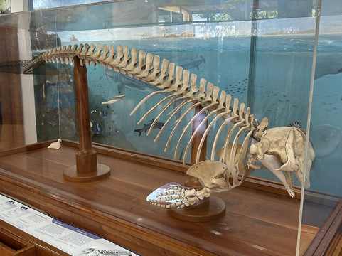 Charles Darwin Research Station-阿约拉港必去景点