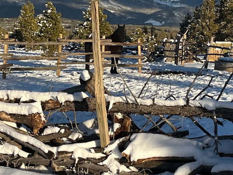 Dashing Thru The Snow-Fraser必去景点