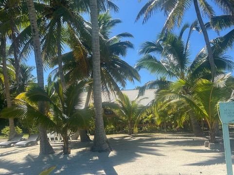 Silent One Lagoon Charters-艾图塔基必去景点