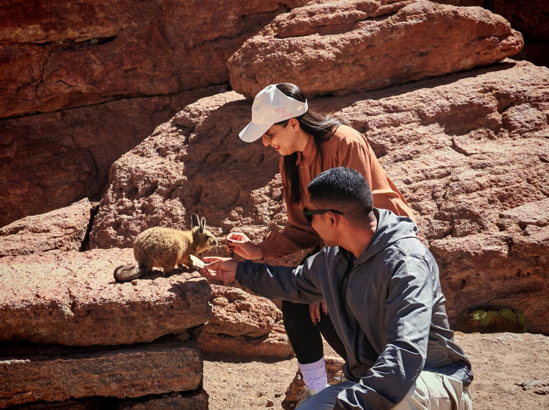 Retur Expediciones-圣佩德罗-德阿塔卡马必去景点