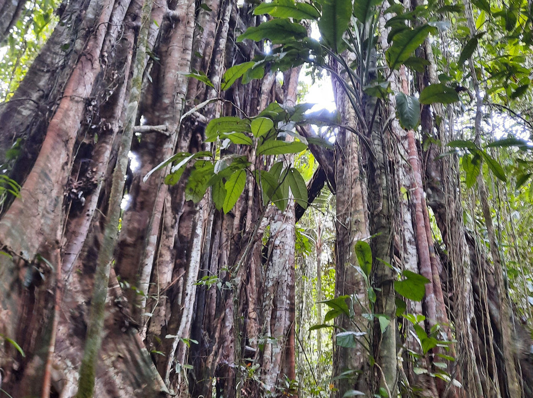 Wolter Gaman-Waisai必去景点