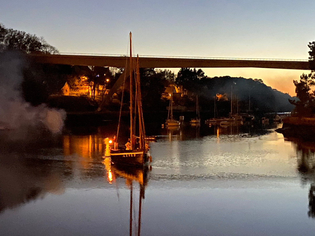 Hotel Alicia Auray le Bono主图