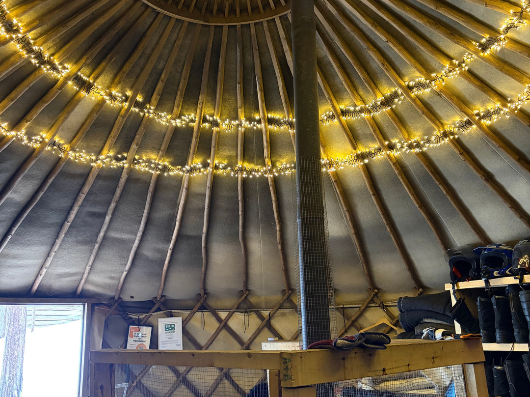 Pinewood's huskies-罗瓦涅米必去景点