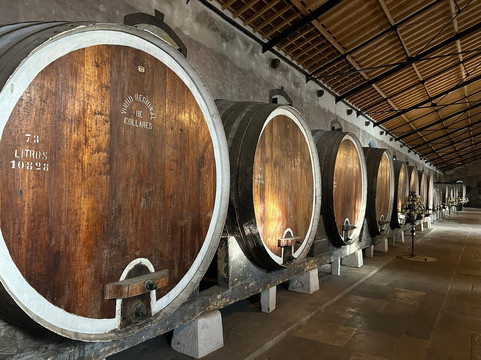 Adega Regional de Colares-科拉雷斯必去景点