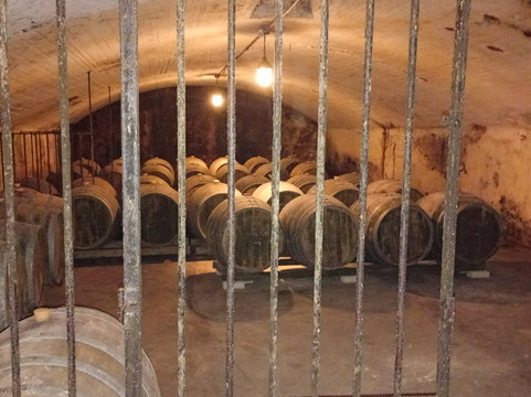 Bodegas Carrau-蒙得维的亚必去景点