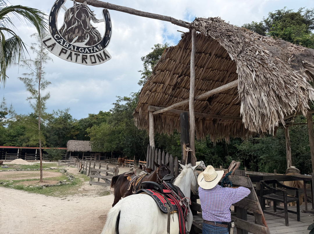 Marte's Place At La Patrona