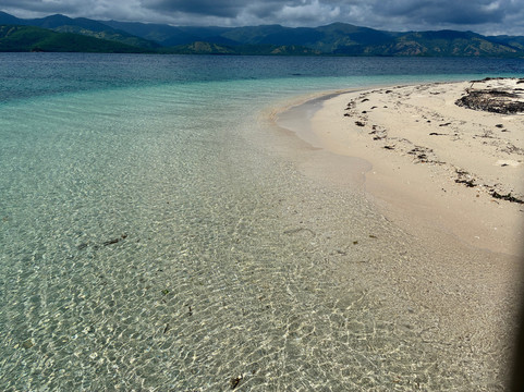 Riung boat trip organizer