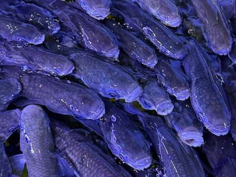 Lyme Regis Marine Aquarium-莱姆里杰斯必去景点