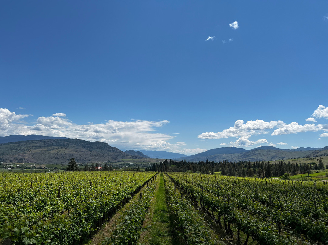 Fairview Cellars Winery-Oliver必去景点