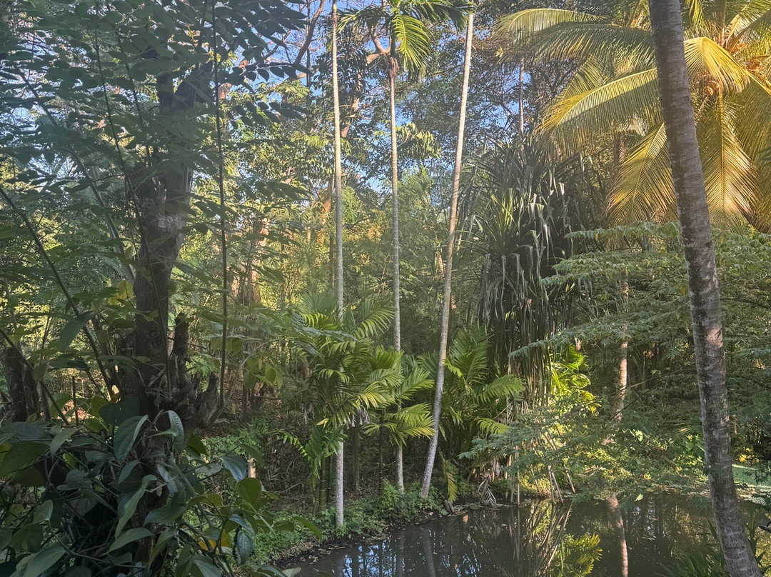 Wild Lake Side Holiday Resort主图