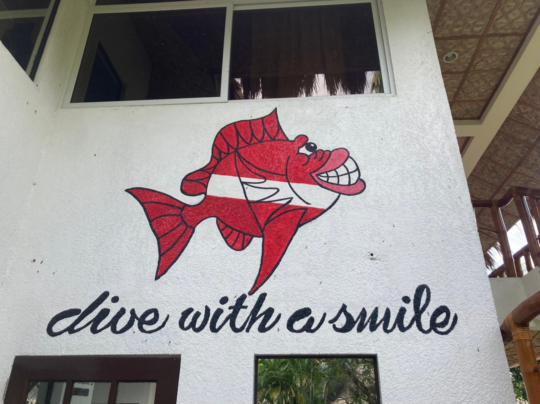 菲国海洋探索潜水中心-岛印必去景点