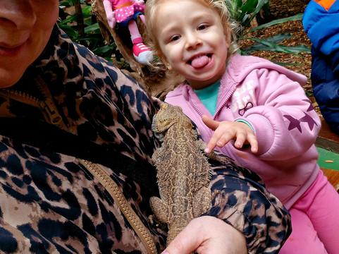 Tropiquaria Zoo-Washford必去景点