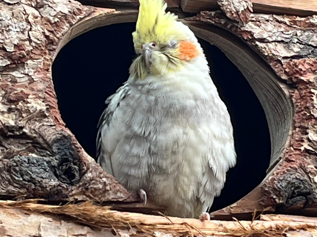 Potter's World-Lanchester必去景点