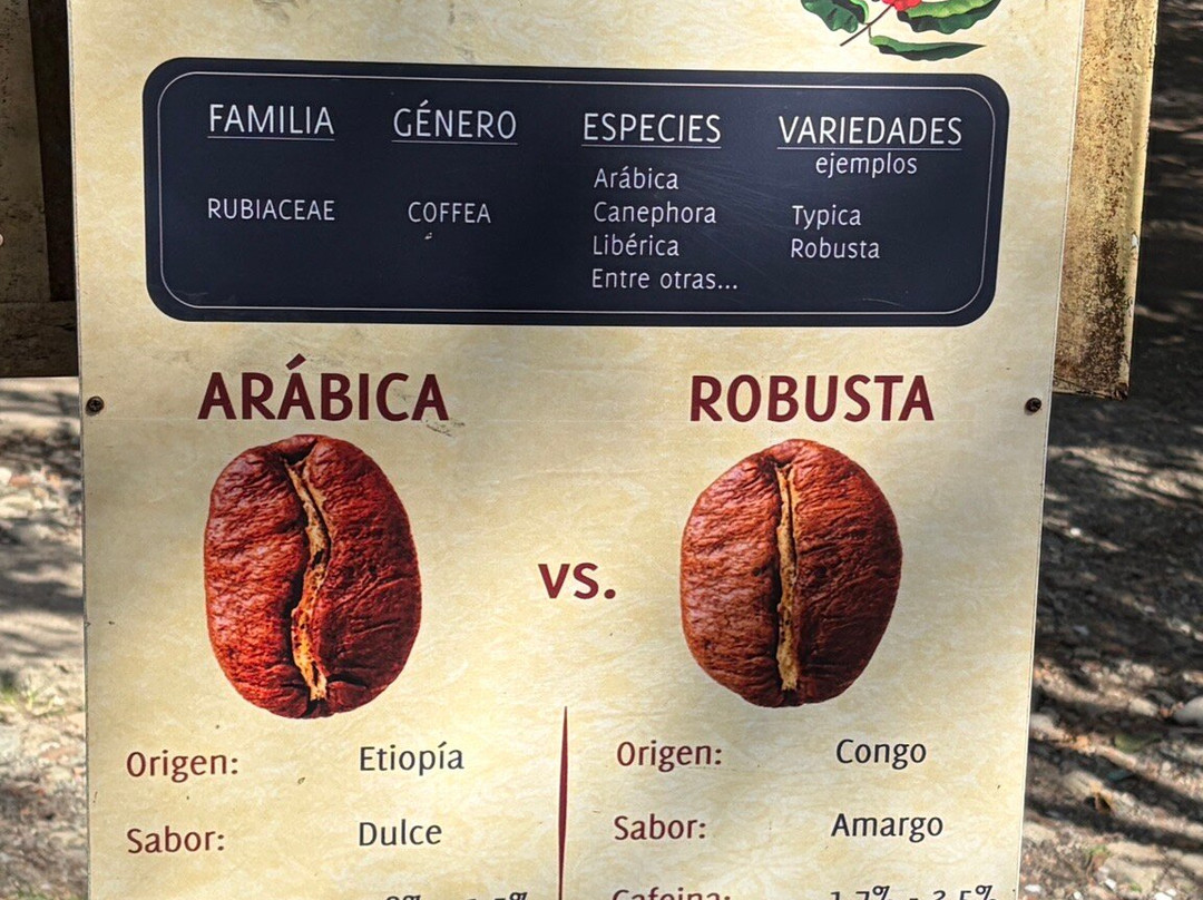 Ocaso Cafe Tour-萨伦托必去景点